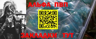 индика Гатчина