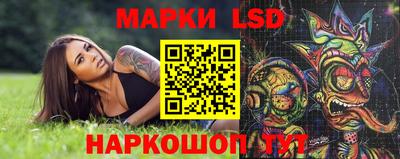 индика Гатчина