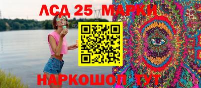 индика Гатчина