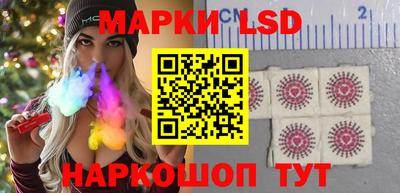 индика Гатчина
