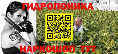 дмт Гагарин