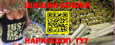 индика Гатчина