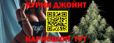 индика Гатчина