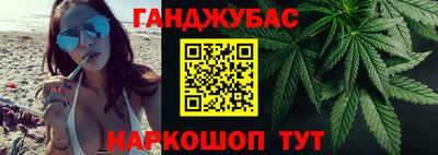 индика Гатчина